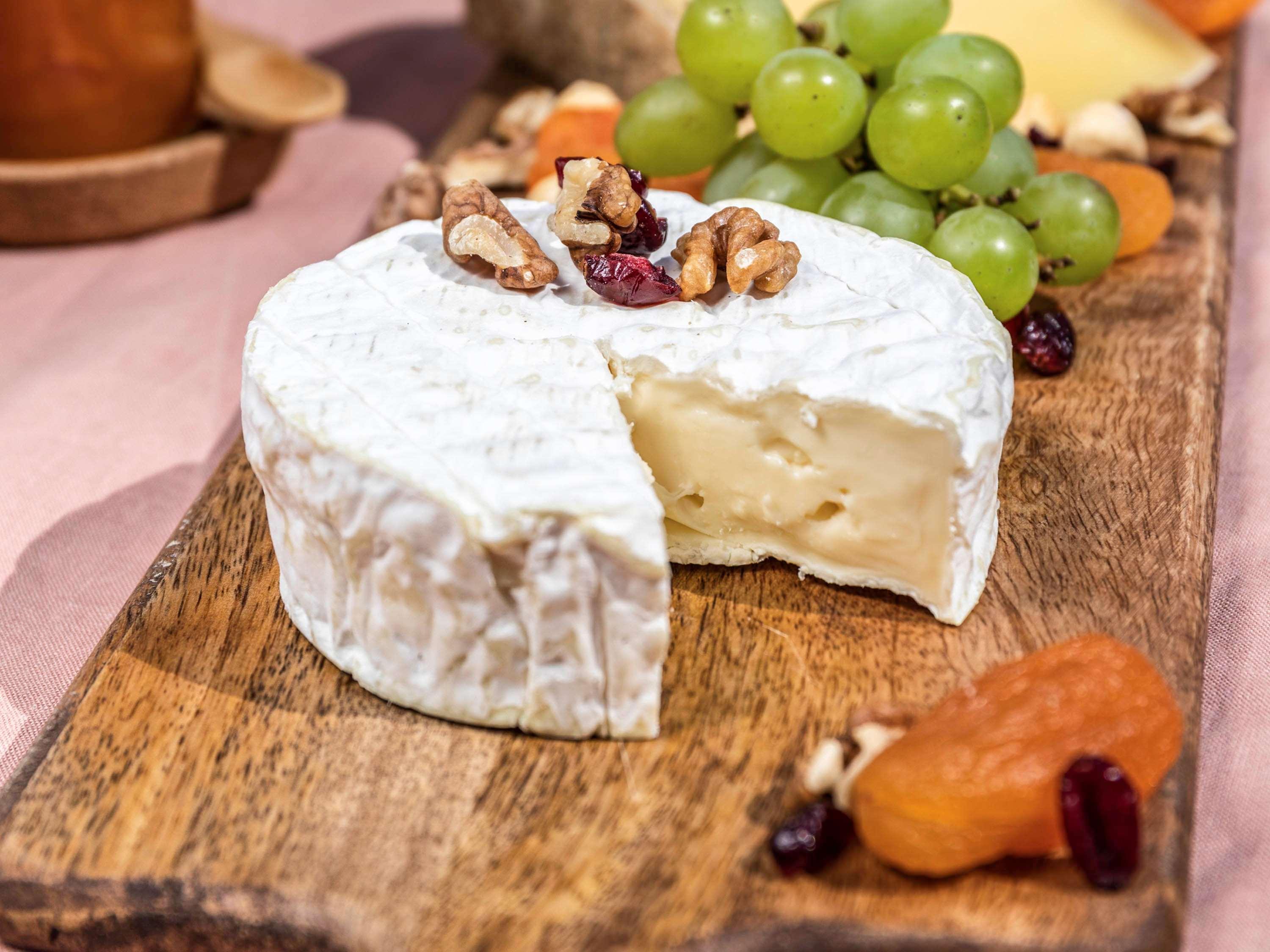 Novotel Chennai Sipcot Extérieur photo Camembert cheese
