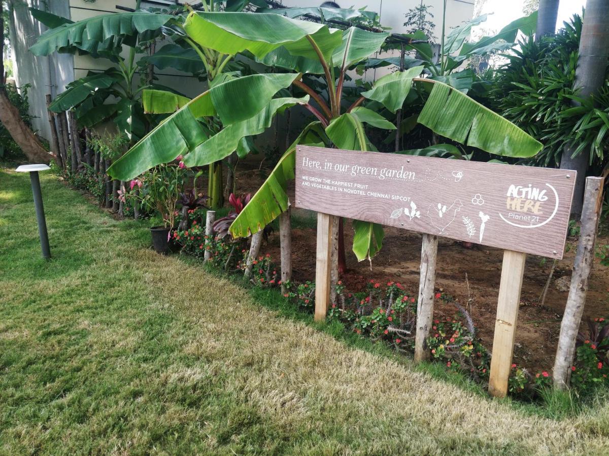 Novotel Chennai Sipcot Extérieur photo The Edible Garden at the National Gallery Singapore
